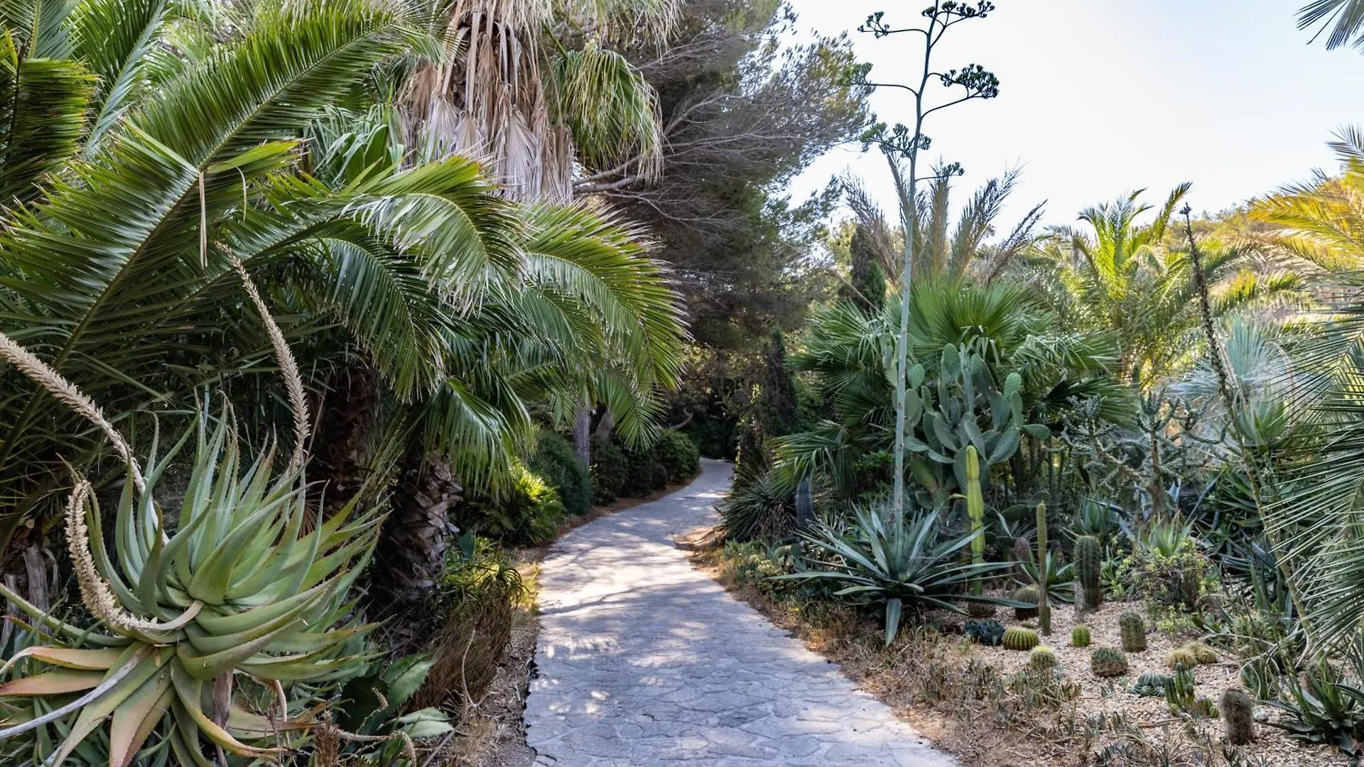 Bed & Breakfast Villa Hippocampe Sanary-sur-Mer