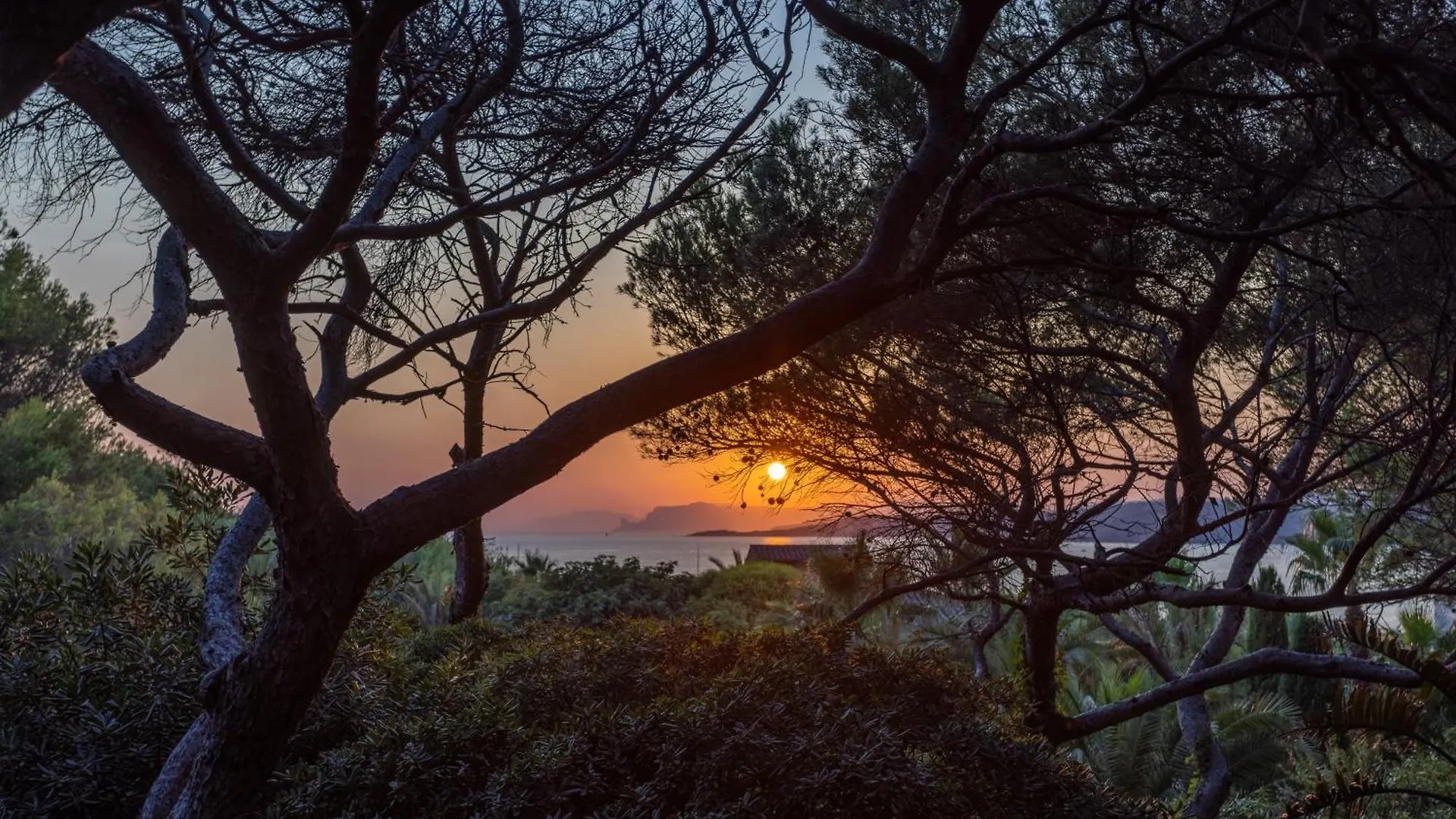 Bed & Breakfast Villa Hippocampe Sanary-sur-Mer